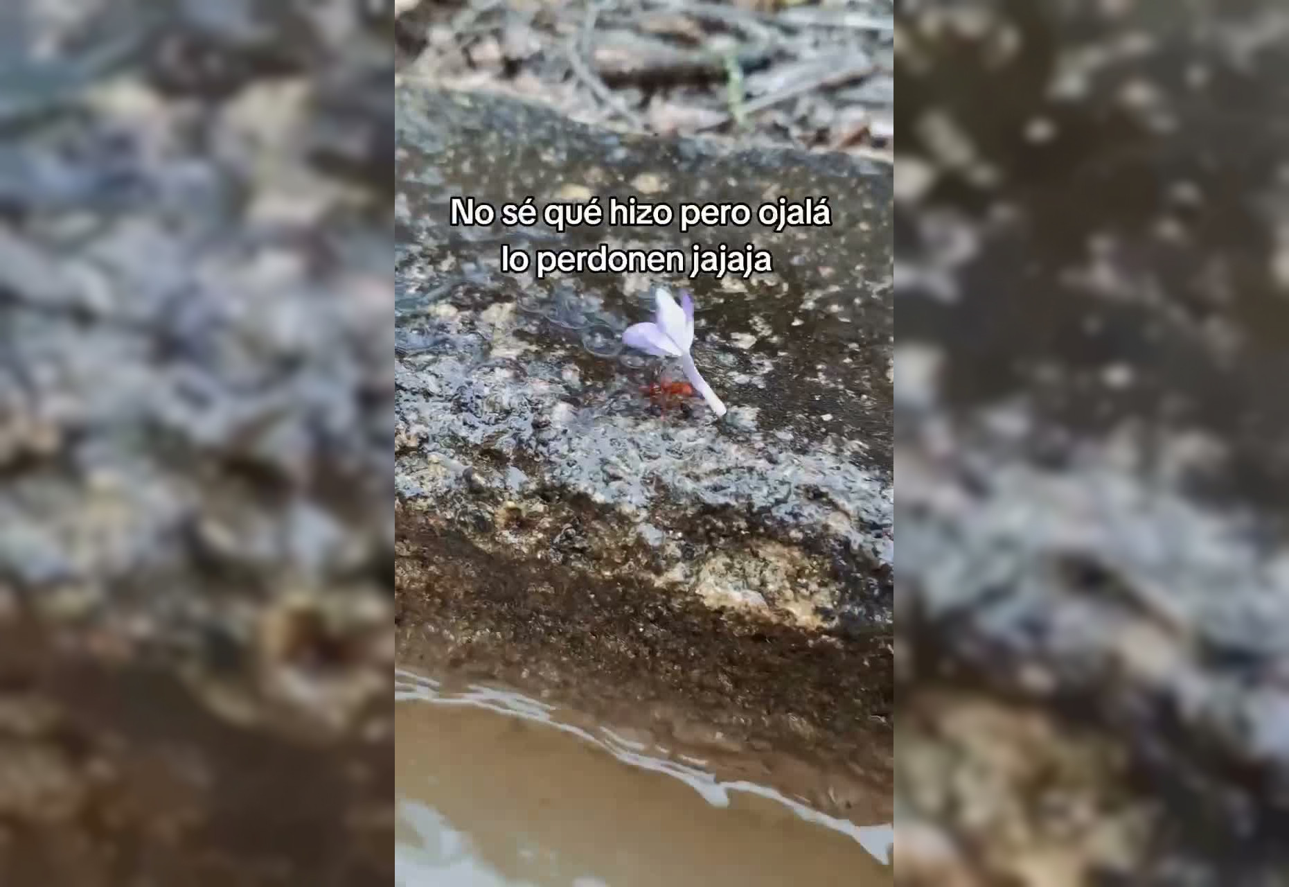 Когда прошлой ночью не ночевал дома